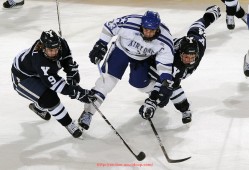 世俱杯直播-意甲联赛中的“全球队”有哪些？国际球员占比分析